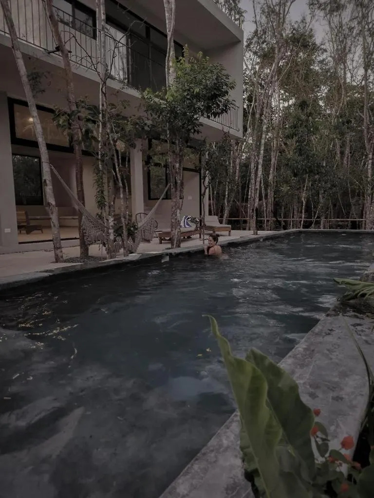 别墅 Hermosa Casa Con Piscina Privada 图卢姆