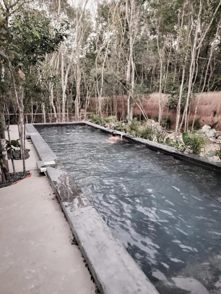 别墅 Hermosa Casa Con Piscina Privada 图卢姆 墨西哥